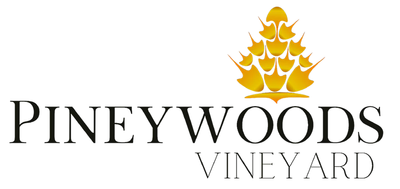 Pineywoods Vineyard Logo (Link to homepage)