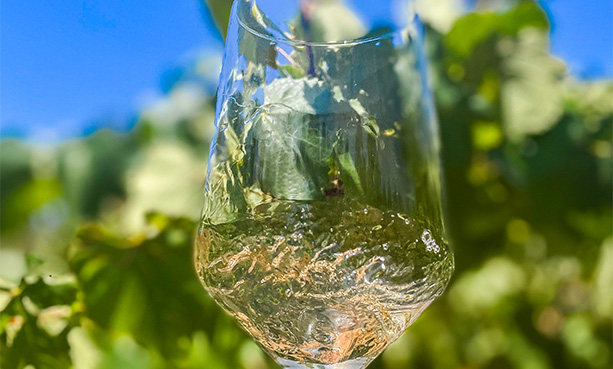 Closeup of a glass of white wine
